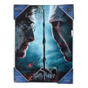 SD Toys Harry Potter & Voldemort Glass Poster