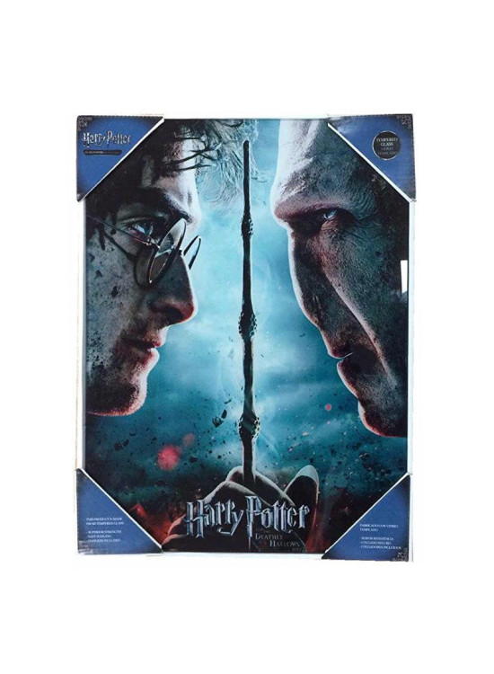 SD Toys Harry Potter & Voldemort Glass Poster