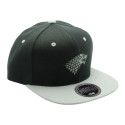 Abyss Game of Thrones Stark Snapback Cap