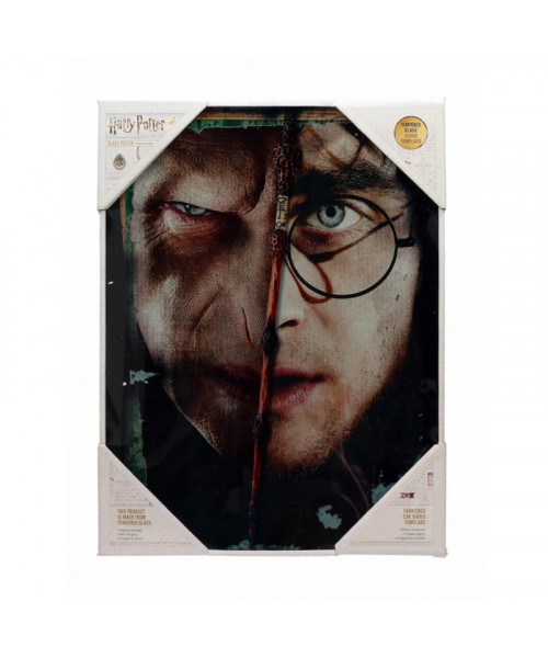 SD Toys Half Face Harry / Voldemort Glass Poster
