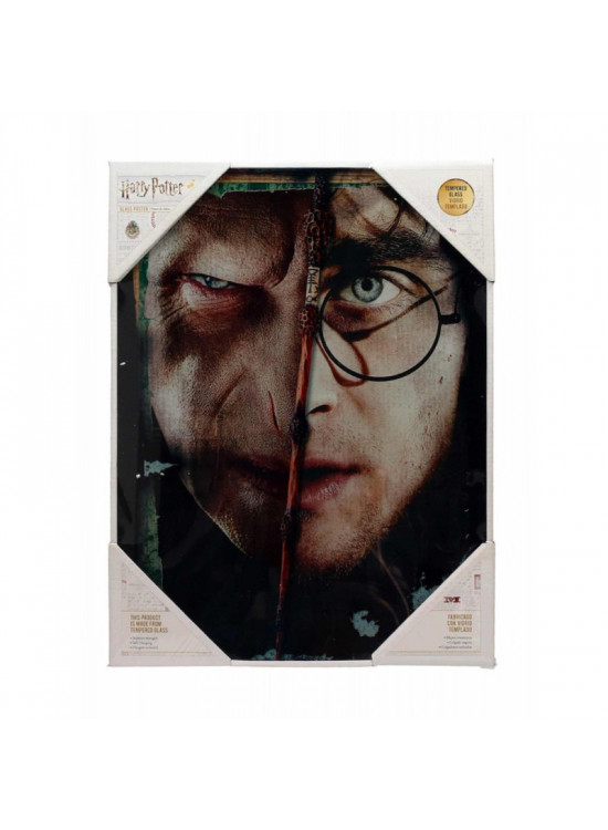 SD Toys Half Face Harry / Voldemort Glass Poster